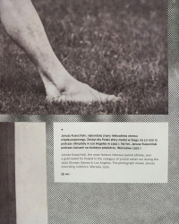 https://glorialuca.net/files/gimgs/th-102_WRO6.jpg
